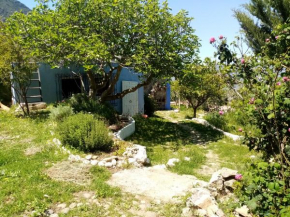La maison bleue